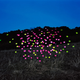 Illustration for article titled Night of the Swarming Post-It Notes